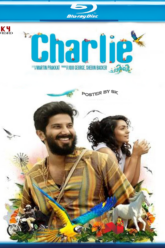 Charlie (2015) 480p 720p 1080p BluRay South Movie ORG. [Dual Audio] [Hindi (HQ) or Malayalam] x264 ESubs [450MB] vegamovies.cfd